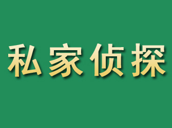 迎江市私家正规侦探